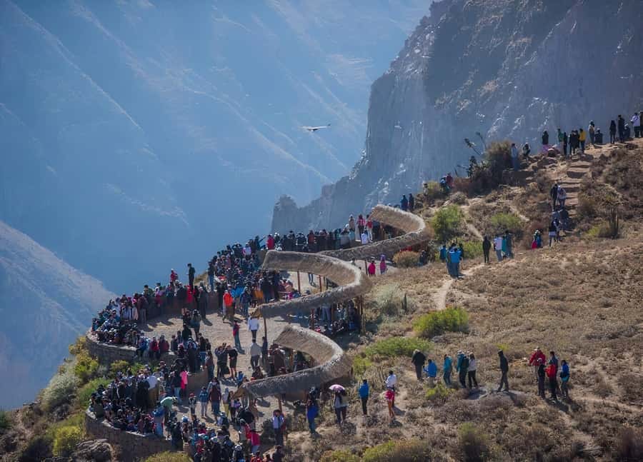 Arequipa: Full Day Colca Canyon Tour Roundtrip from Arequipa - Lunch and the real cost of a $19 tour