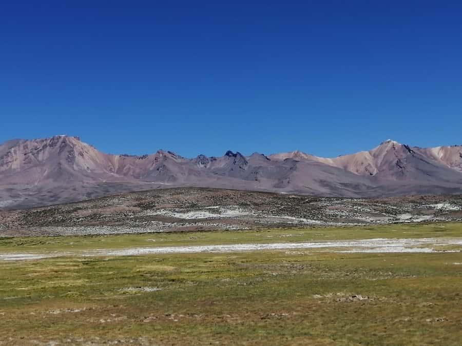Arequipa: Full-Day Tour to Salinas Salt Lake - Key points to know before booking