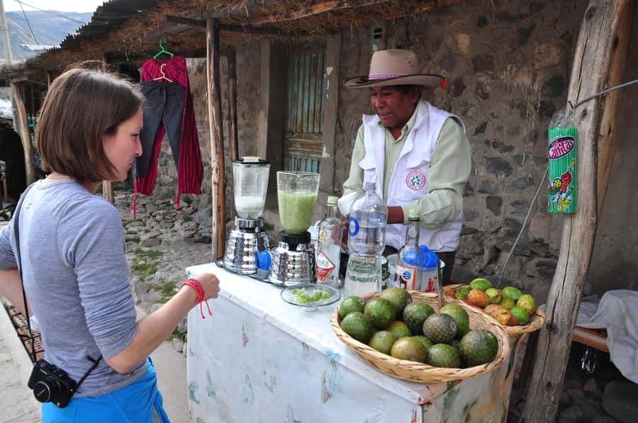 Arequipa: Fullday Colca Canyon + Lunch + Transfer to Puno - Maca, Pinchollo, Yanque, and the old canyon route