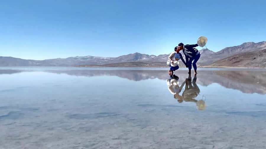 Arequipa: Salinas Lagoon Tour Offer Price - Key points at a glance