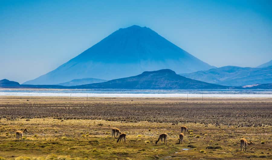 Arequipa: Salinas Lagoon Tour Offer Price - Why Salinas Lagoon makes a good Arequipa day trip