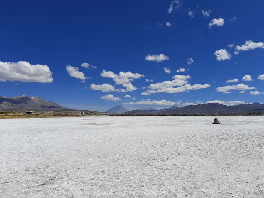 Arequipa: Salinas Lagoon Tour Offer Price - Flamingos, parihuanas, and camelids in the reserve
