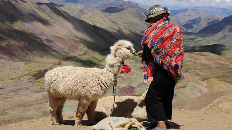 Arrive before the crowd to the Mountain in private service - Key points to know before booking
