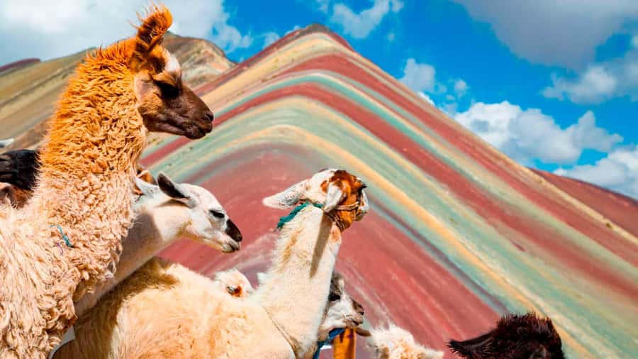 Arrive before the crowd to the Mountain in private service - The 90-minute walk to Rainbow Mountain