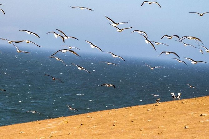 ATV Tour Adventure in Reserva Nacional de Paracas - Playa Roja: the route’s most memorable view