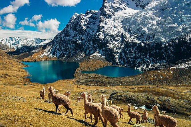 Ausangate Glacier Quad Adventure Tour - Key things to know before booking