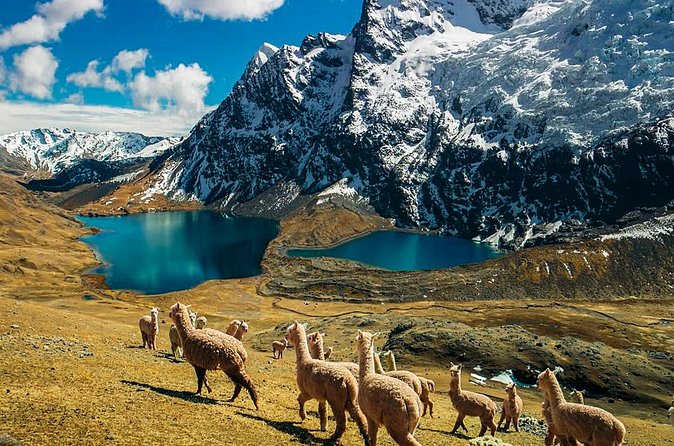 Ausangate Glacier Quad Adventure Tour - Buffet lunch in Cusipata and the long ride back