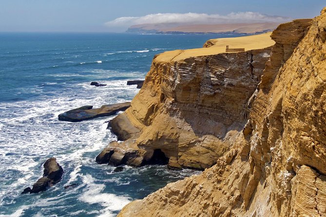 Ballestas island & Paracas reserve from PISCO CRUISESHIP TERMINAL - Who should book this Paracas excursion