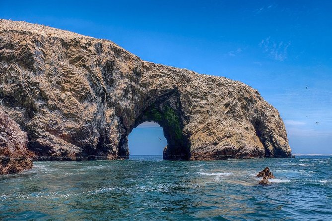 Ballestas island & Paracas reserve from PISCO CRUISESHIP TERMINAL - The Ballestas Islands by speedboat