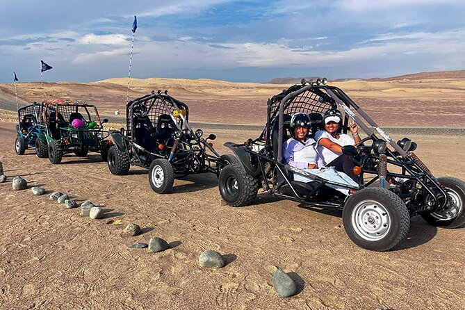 Ballestas Islands and Mini Buggy Adventure from Ica - Starting from Huacachina or Ica at 7:00 am