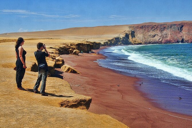 Ballestas Islands & National Reserve of Paracas from Ica - Ballestas Islands: sea lions, penguins, and noisy seabirds