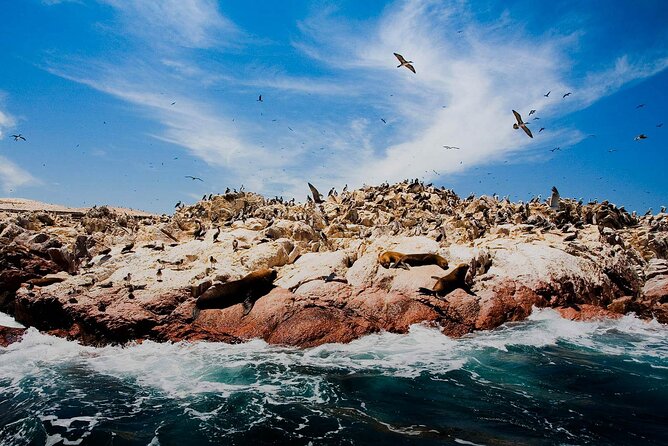 Ballestas Islands & National Reserve of Paracas from Ica - Paracas National Reserve and the Istmo viewpoint