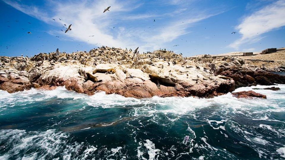 Ballestas Islands & Paracas National Reserve from Paracas - La Catedral, a famous rock formation by the sea