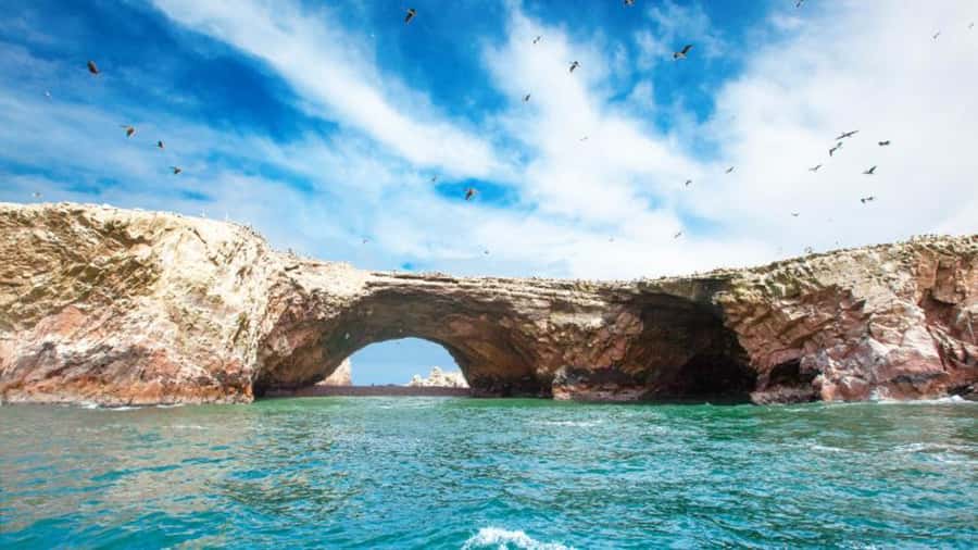 Ballestas Islands & Paracas National Reserve from Paracas - Lagunillas Beach, swimming and seafood