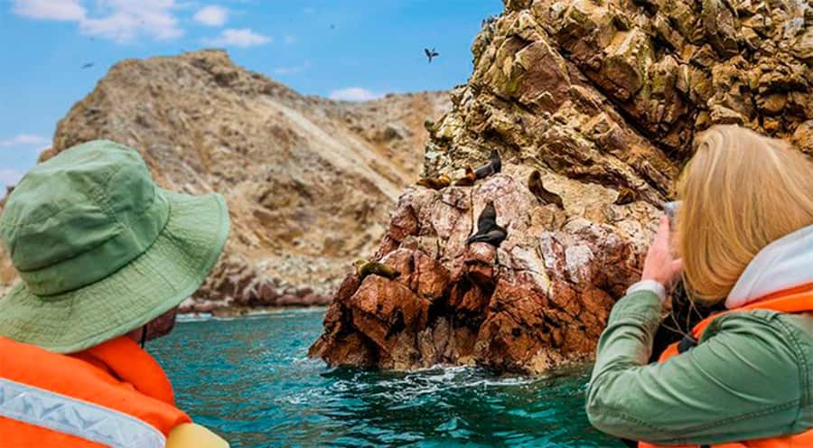 Ballestas Islands: Peru’s Natural Paradise boat tour - The first 15 minutes on the speedboat