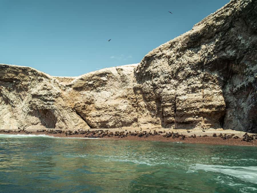 Ballestas Islands: Peru’s Natural Paradise boat tour - What the $20 price really buys you