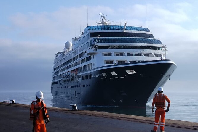 Ballestas Islands tour from Pisco CRUISESHIP TERMINAL - Key points to know before you book