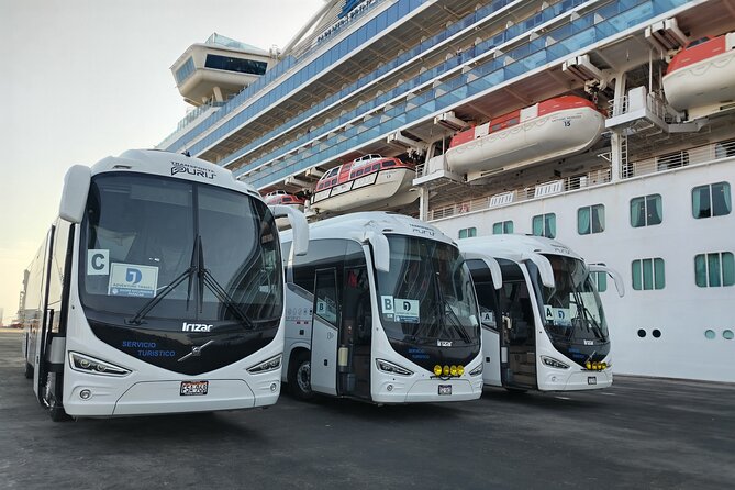 Ballestas Islands tour from Pisco CRUISESHIP TERMINAL - Meeting the guide beside your cruise ship