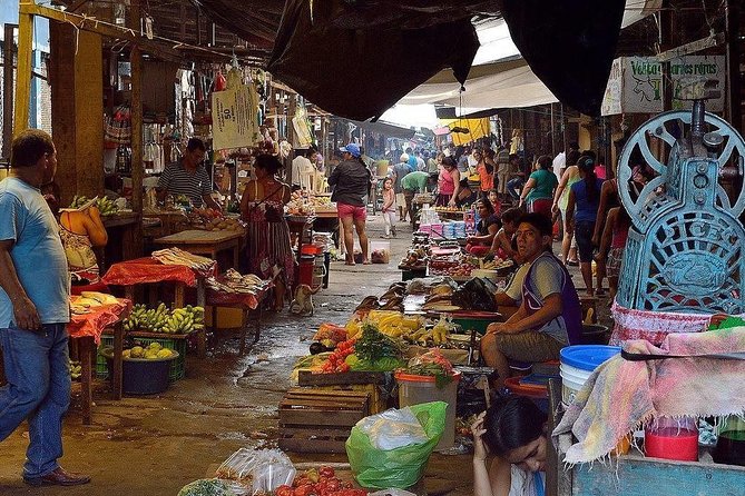 Belen Market & Floating City 2-3 Hour Private Tour - What the guide adds to the experience