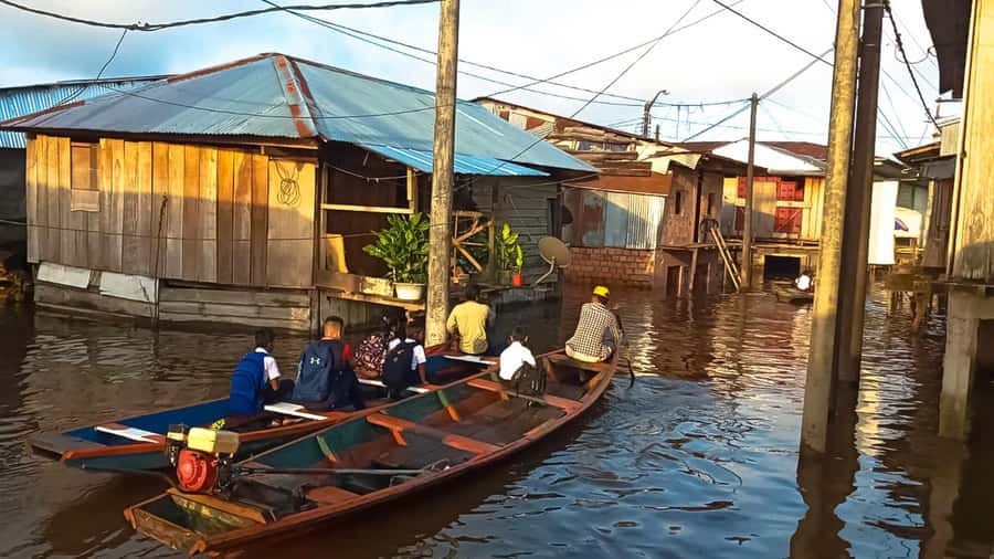 Belen Market & Floating City 2-3 Hour Private Tour - Who should book this Iquitos tour?