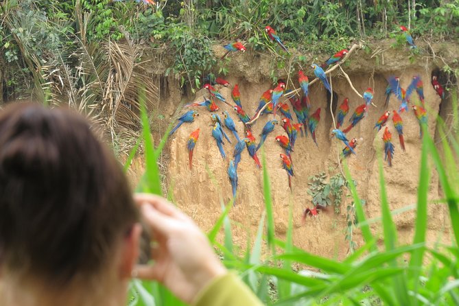 Best of Tambopata 3 nights by JunglePro - Key points to know before you book
