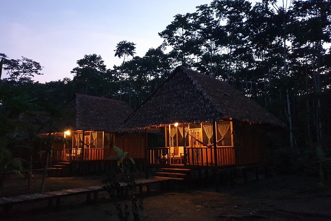 Best of Tambopata 3 nights by JunglePro - Condenado Lake and the forest after sunset