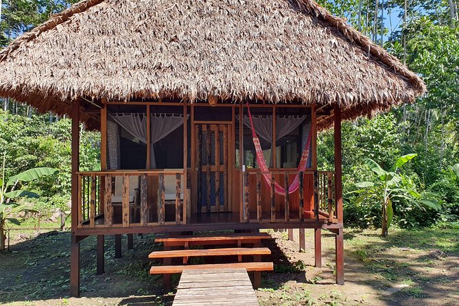 Best of Tambopata 3 nights by JunglePro - Day 3: Sachavacayoc Lake and a slower wildlife search