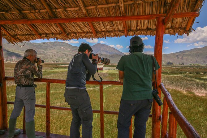Birdwatching at Huacarpay Wetland in Cusco - A small group changes the experience
