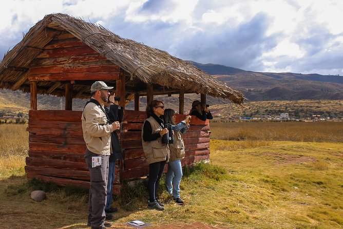 Birdwatching at Huacarpay Wetland in Cusco - Leaving at 6 a.m. for a quieter start