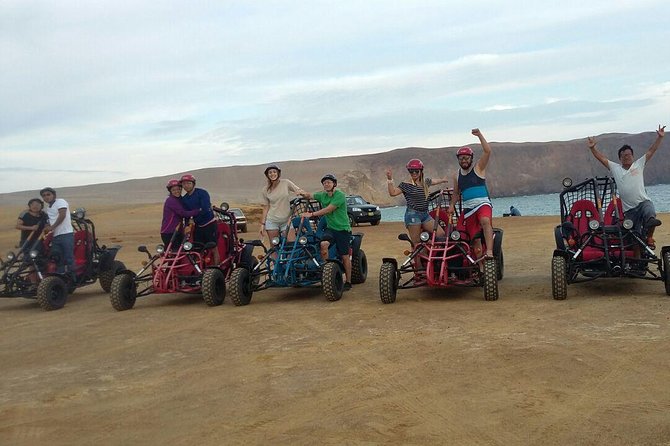 Buggy ride in Paracas National Reserve - Why a buggy makes sense in Paracas National Reserve