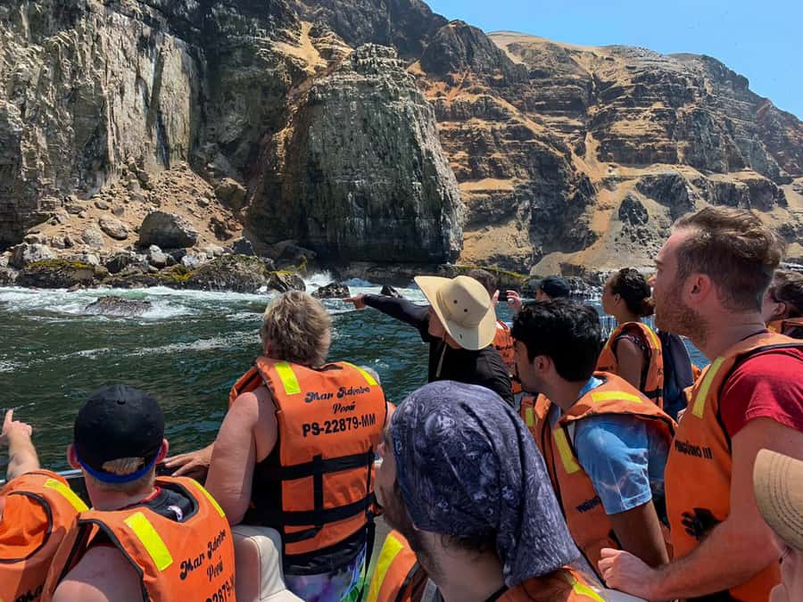 Callao: Swimming with Sea Lions Palomino Islands Boat Tour - Key points to know before you go