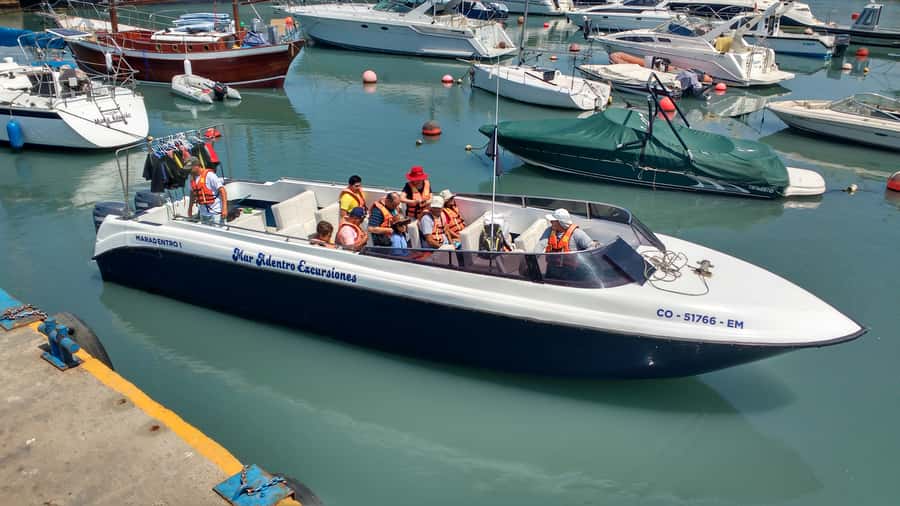 Callao: Swimming with Sea Lions Palomino Islands Boat Tour - Who should book this Callao boat trip?