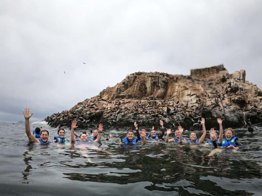 Callao: Swimming with Sea Lions Palomino Islands Boat Tour - From El Mirador to the open water