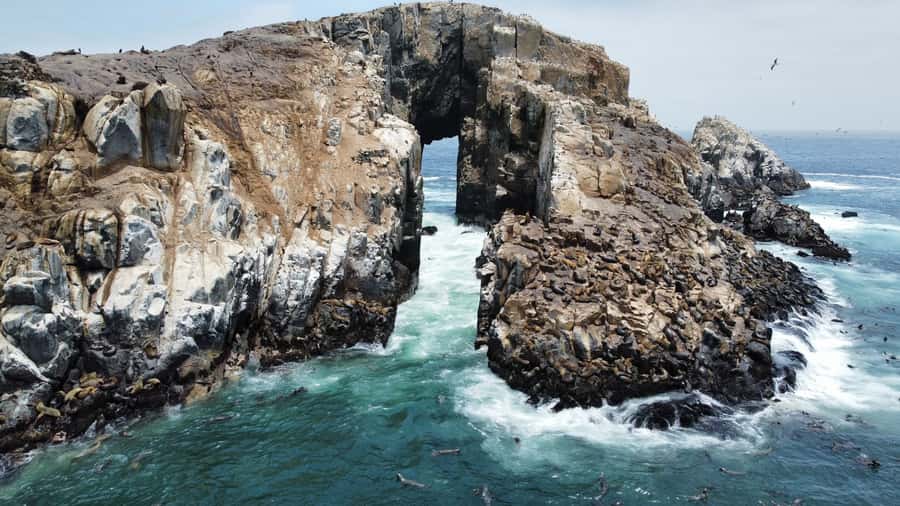 Callao: Swimming with Sea Lions Palomino Islands Boat Tour - Palomino Island and the sea lion colony