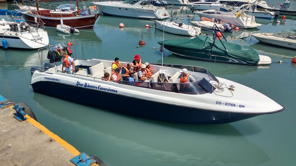 Callao: Swimming with Sea Lions Palomino Islands Boat Tour - What the 15-minute swim is really like