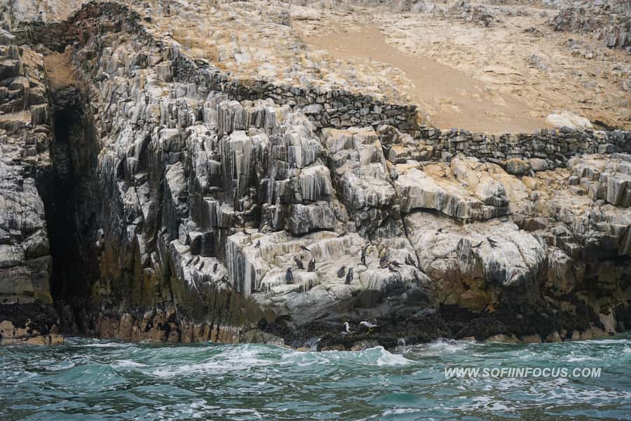 Callao: Swimming with Sea Lions Palomino Islands Boat Tour - The return ride through cliffs and islets