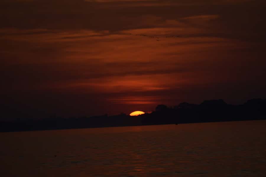 Capibara and caiman search on the Tambopata river - Who should book this river outing?