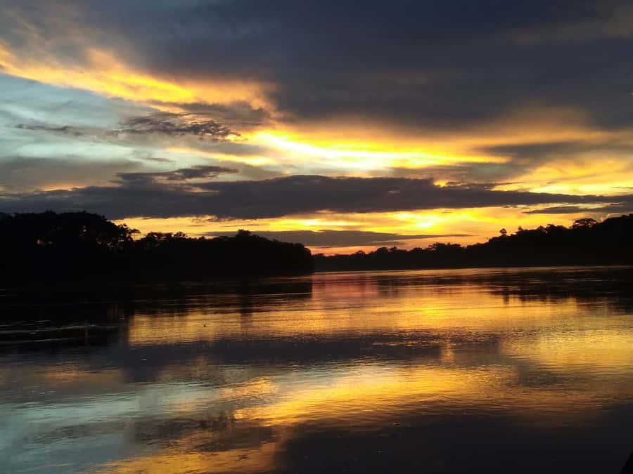 Capibara and caiman search on the Tambopata river - The Tambopata River at sunset