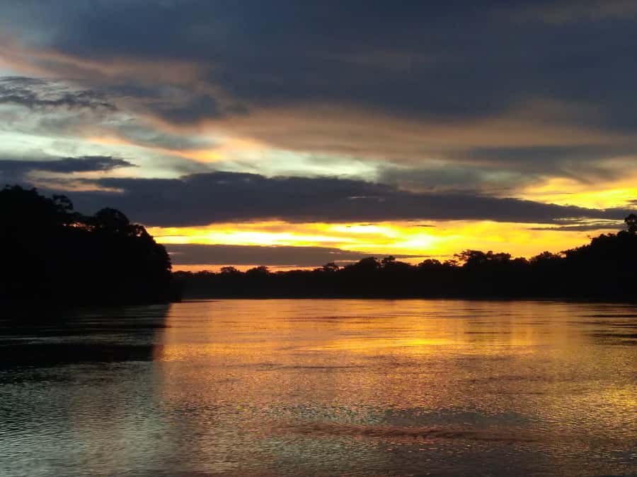 Capibara and caiman search on the Tambopata river - Weather, timing, and what to bring
