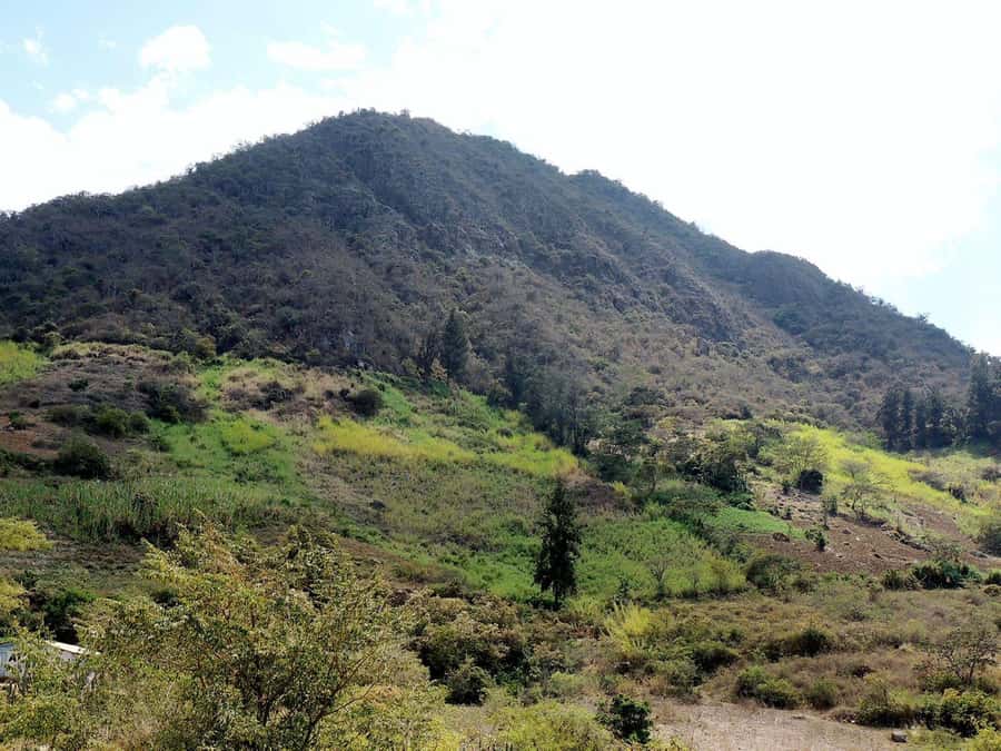 Chiclayo: Chaparri Ecological Reserve Tour - Chaparri at a glance