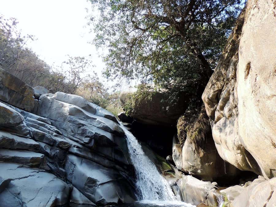 Chiclayo: Chaparri Ecological Reserve Tour - Birds are the day’s most reliable stars