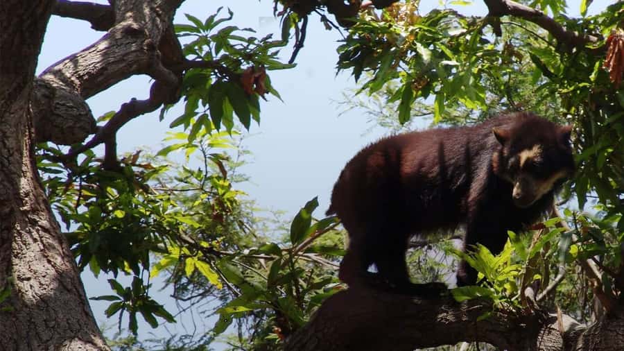 Chiclayo: Chaparri Ecological Reserve Tour - Snakes, amphibians, and the reptary