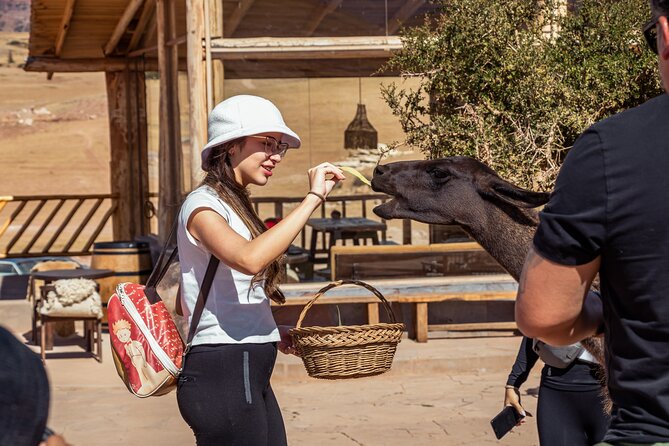Chinchero, Moray & Maras Day Tour with Llama Picnic from Cusco - The llama picnic near Maras