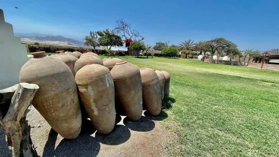 CITY TOUR ICA-HUACACHINA+BUGGIES IN PRIVATE CAR FROM PARACAS - Who should book this day trip?