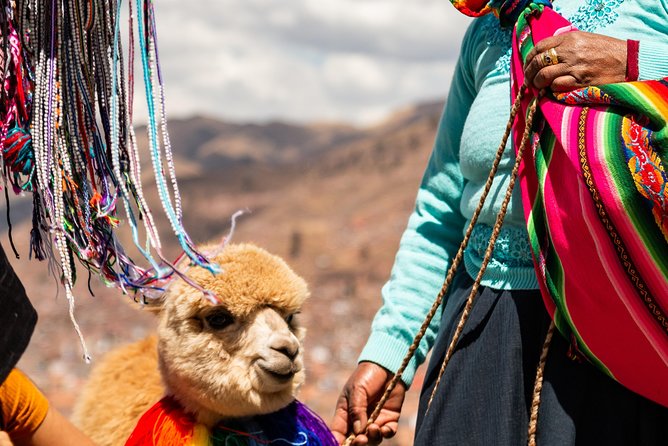 City tour in Cusco. - Q’enqo: a smaller site with a different mood