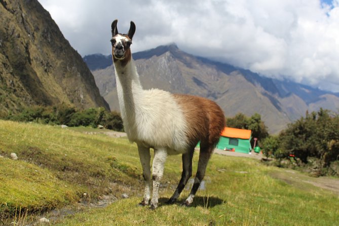 Classic Inca Trail Expedition to Machu Picchu 4D/3N - What the $990 price really buys you