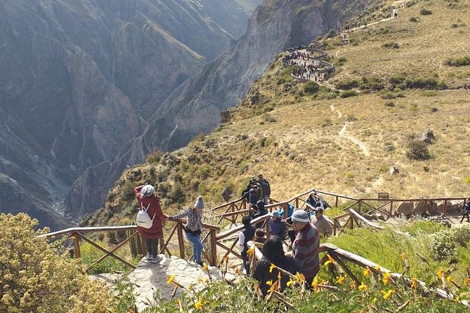 Colca 2 Days and 1 Night - Day one: wildlife and high mountain air