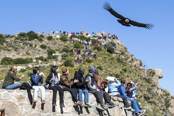 Colca 2 Days and 1 Night - Guides, vehicles, and the private format
