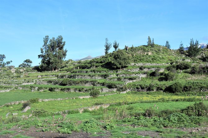 Colca Canyon / 2 Day 1 Night Trek - Key points before you book
