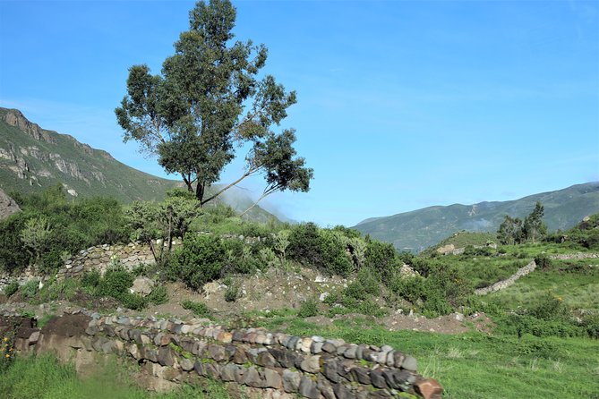 Colca Canyon / 2 Day 1 Night Trek - The overnight stay near San Juan de Chuccho and Sangalle